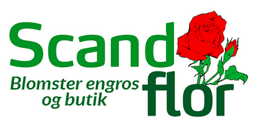 Scandflor logo